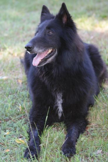 Sally de la Forêt de Bizy