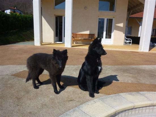 Eres avec sa nouvelle soeur Ether