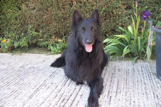 belle, un instant prends la pause.